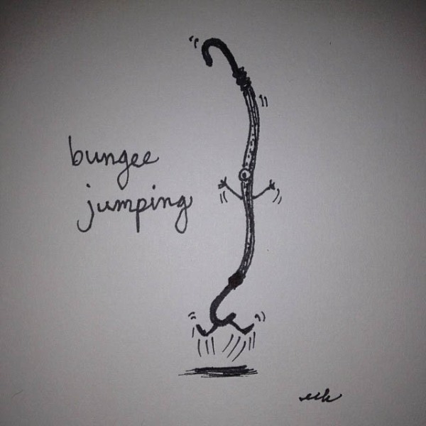 Bungee Jumping