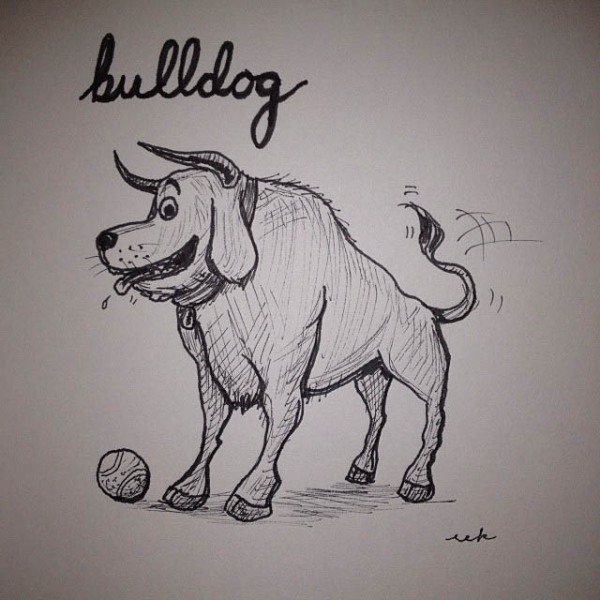 Bulldog