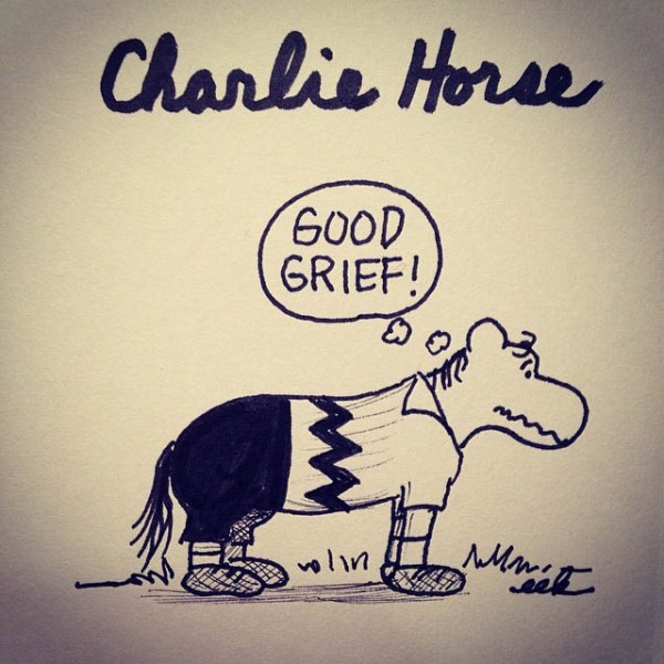 Charlie Horse