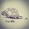 Turdle