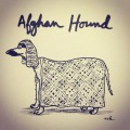 Afghan Hound