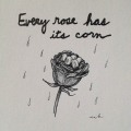 Every Rose