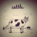 Cattle