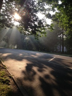 Morning Run, Prospect Park