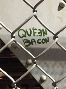 Queen Bacon