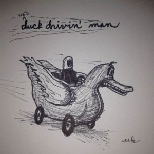 Animals, Cars, driving, duck