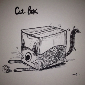 Animals, box, cat, catbox, kitten, kitty, litterbox