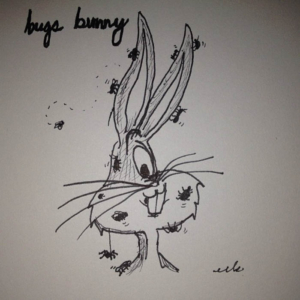 Animals, TV &amp; Movies, bug, bugs, bugsbunny, bunny, insects, rabbit, wb