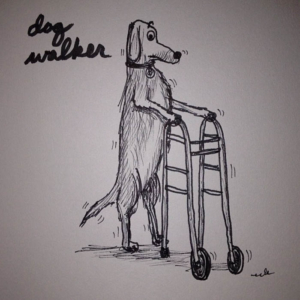 Animals, dog, dogs, pets, walker