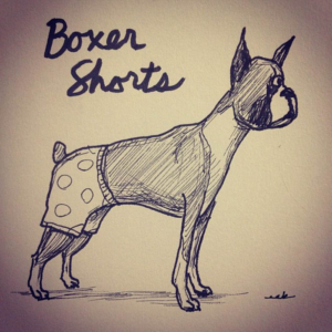 Animals, Fashion, boxer, dog