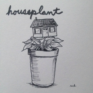 Home, house, houseplant, plant, plants