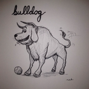 Animals, bull, bulldog, canine, dog, puppy