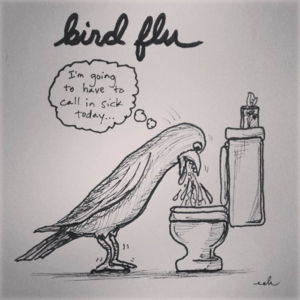 Animals, Drinking, wellness