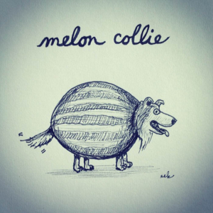 Animals, Mood, collie, depressed, dog, dogs, food, melancholy, melon, pet, pets, sad
