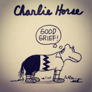 Animals, TV &amp; Movies, charlie, charliebrown, charliehorse, horse, peanuts