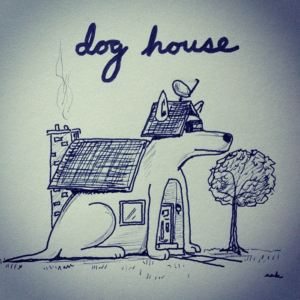 Animals, Home