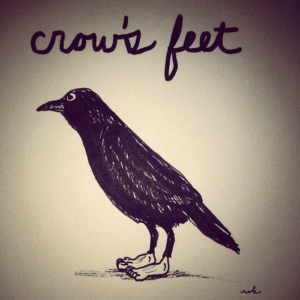 Anatomy, Animals, aging, bird, blackbird, crow, crowsfeet, feet, wrinkles