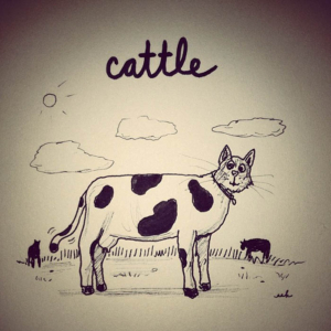 Animals, animal, beef, cat, cattle, cow, farm, kitten, kitty, meow, moo, steak