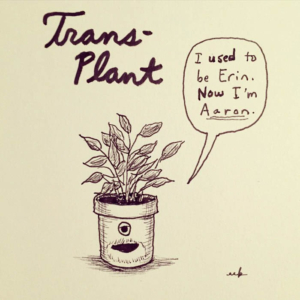 Lifestyle, plants, wellness