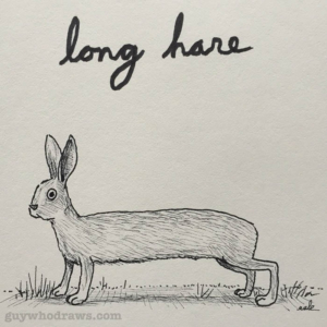 Animals, hair