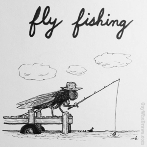 Animals, recreation