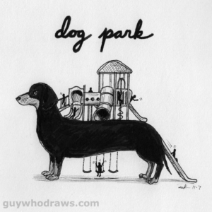 Animals, recreation