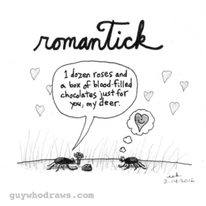 Animals, Holidays, Love, valentines