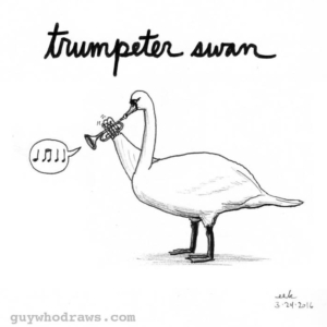 Animals, Music