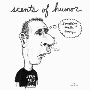 Anatomy, Comedy