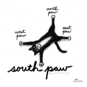 Anatomy, Animals