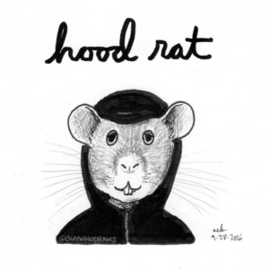 Animals, Fashion