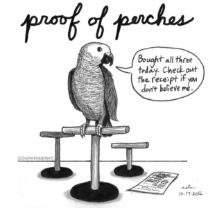 Animals, shopping