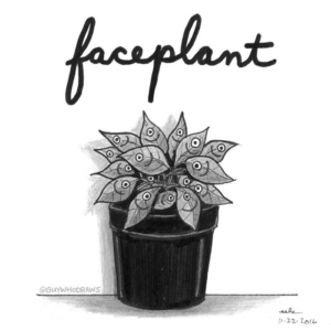 Anatomy, Home, plants