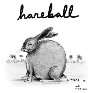 Animals, hair