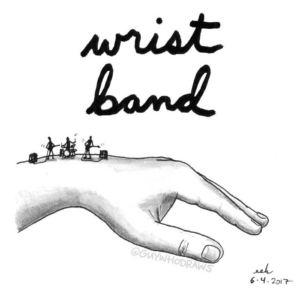 Anatomy, Music