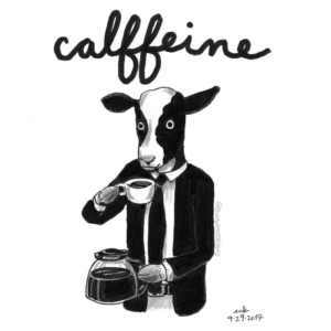 Animals, Coffee, Drinking