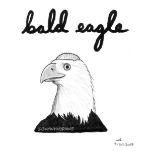 Animals, hair