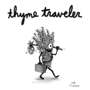 Cooking &amp; Baking, Travel, food, kitchen