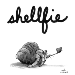 Animals, Social Media