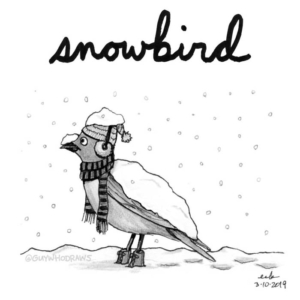 Animals, Winter