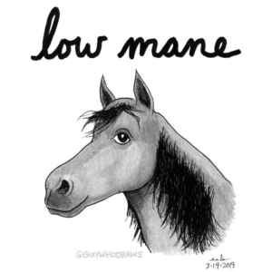 Animals, food, hair
