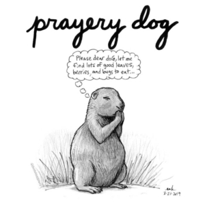 Animals, Religion