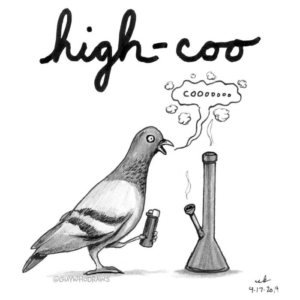 420, Animals, smoking, writing