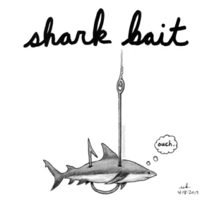 Animals, recreation