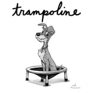Animals, Badpuns, Cartoons, TV &amp; Movies, bounce, classiccartoons, disney, disneyland, dog, doggy, dogs, jump, jumping, ladyandthetramp, minneapolisartist, minnesotaartist, mutt, recreation, tramp, trampoline, trampolineworkout, twincitiesartist, waltdisney, woofwoof