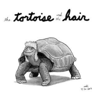 Animals, Badpuns, aesop, aesopsfables, barbershop, businessinthefrontpartyintheback, hair, haircut, hairstyle, hairstyleappreciationday, hairstyles, hairstylist, minneapolisart, minneapolisartist, mullet, reptile, reptiles, salon, stylist, tortoise, tortoiseandthehare, turtle, turtles