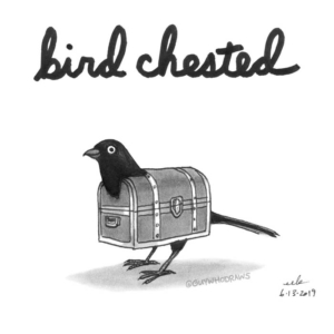Animals, Badpuns, Travel, antiquechest, bird, birdchested, birding, birdingphotography, birds, chest, lowbrowpopsurrealism, minneapolisartist, storage, storagechest, strangeart, toughguy, treasurechest, weirdoart