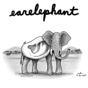 Anatomy, Animals, Badpuns, Nature, africa, aural, dumbo, ear, ears, elephant, elephantart, elephantlove, elephants, hearing, irrelevant, lowbrowpopsurrealism, minneapolisartist, safari, strangeart, weirdoart, wildlife