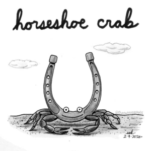 Animals, Badpuns, crab, crabcakes, crablegs, crustaceans, foodporn, horse, horses, horseshoe, horseshoecrab, lowbrowpopsurrealism, minneapolisartist, oceanlife, seafood, strangeart, weirdoart