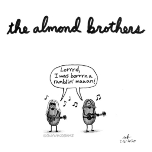 Badpuns, Music, allmanbrothers, allmanbrothersband, almond, almonds, classicrock, classicrockmemes, duaneallman, food, greggallman, lowbrowpopsurrealism, minneapolisartist, nationalalmondday, nut, nuts, ramblinman, seed, slideguitar, strangeart, weirdoart